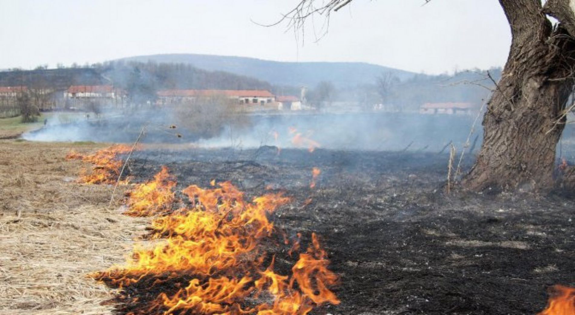 Риск от пожар в 10 региона на страната днес