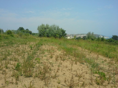Участок с панорамным видом на море